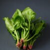 Spinach